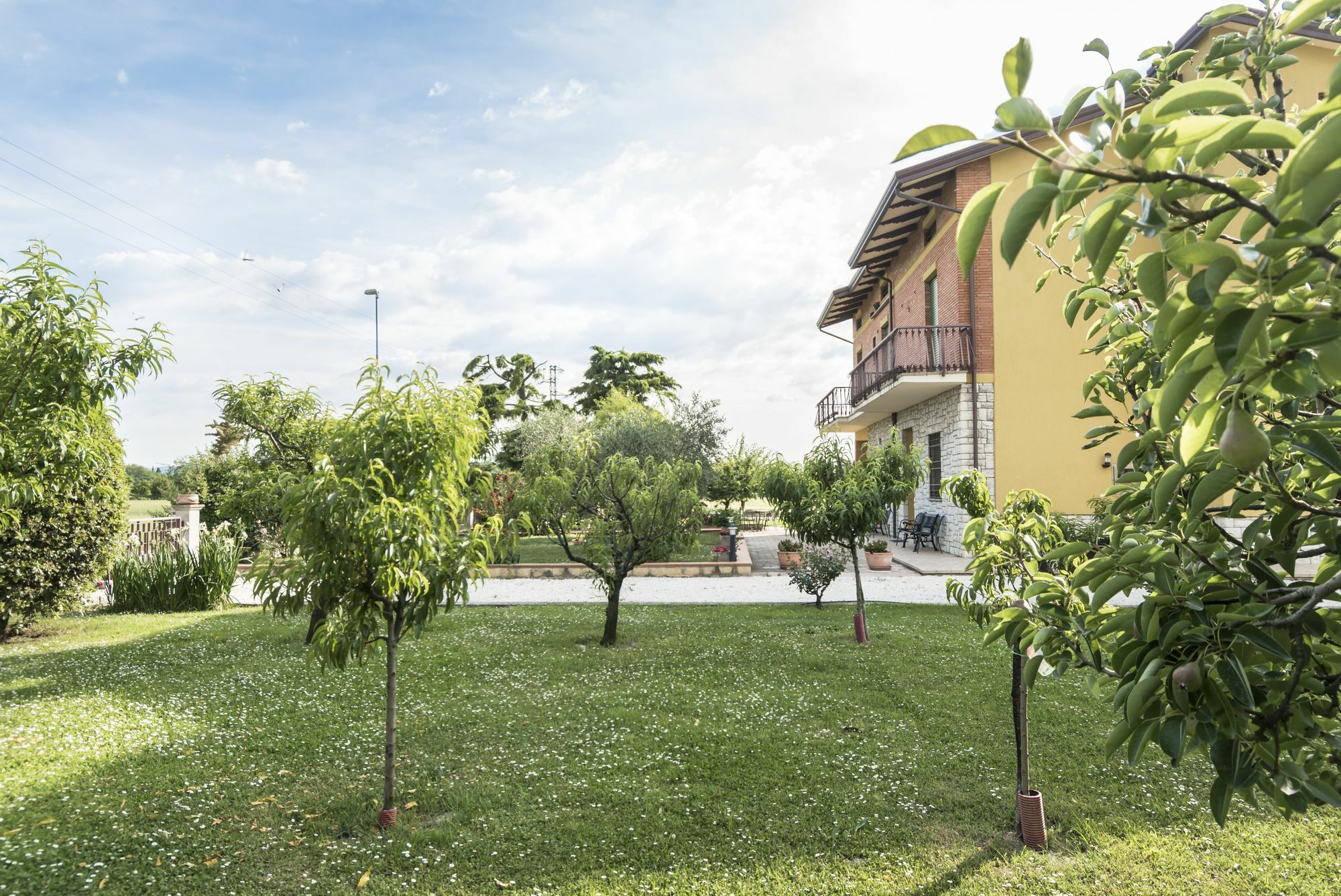 Camere Mariella Assisi Exterior foto